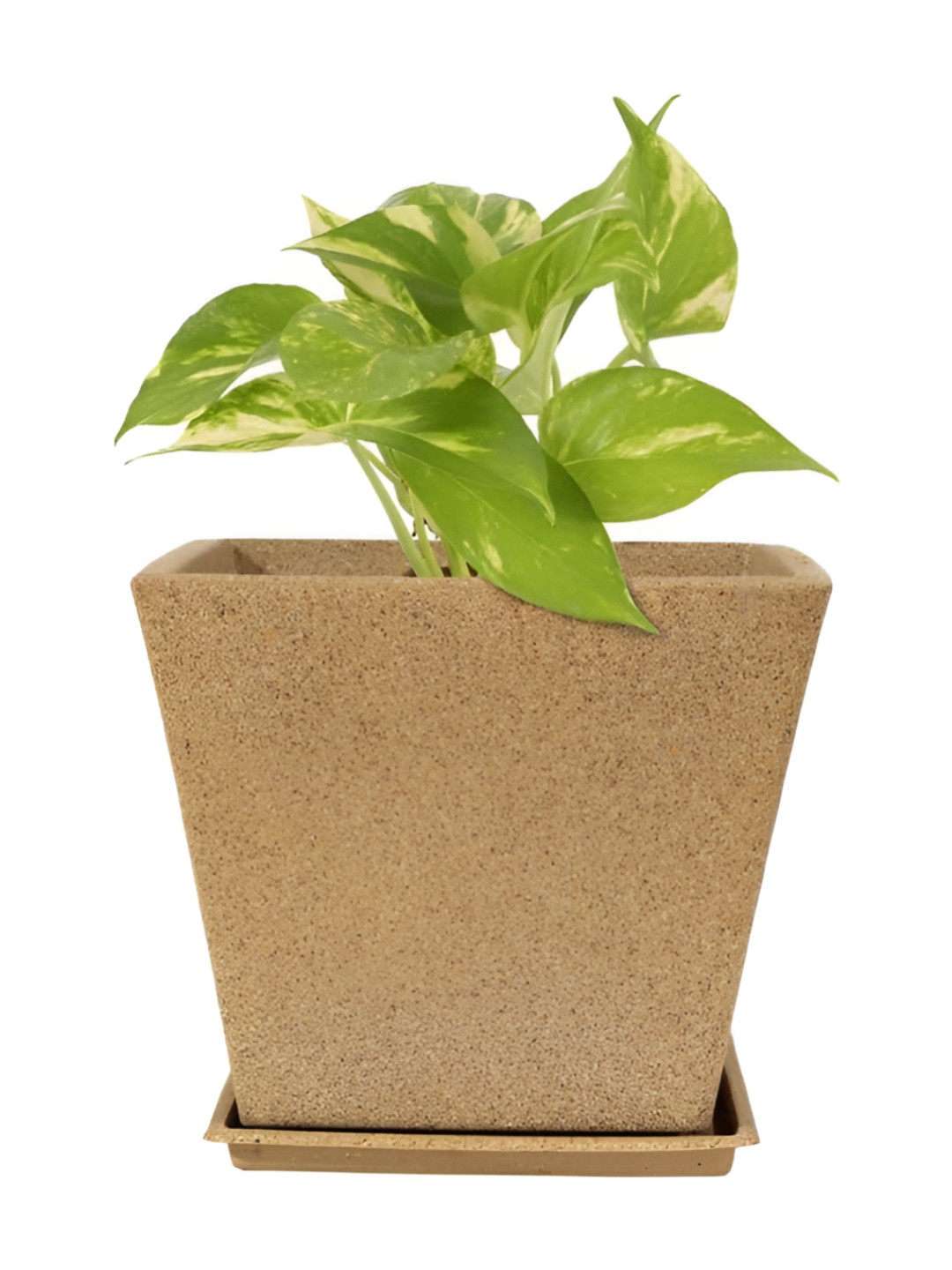 GARDEN'S NEED Beige Sand Stone Planters