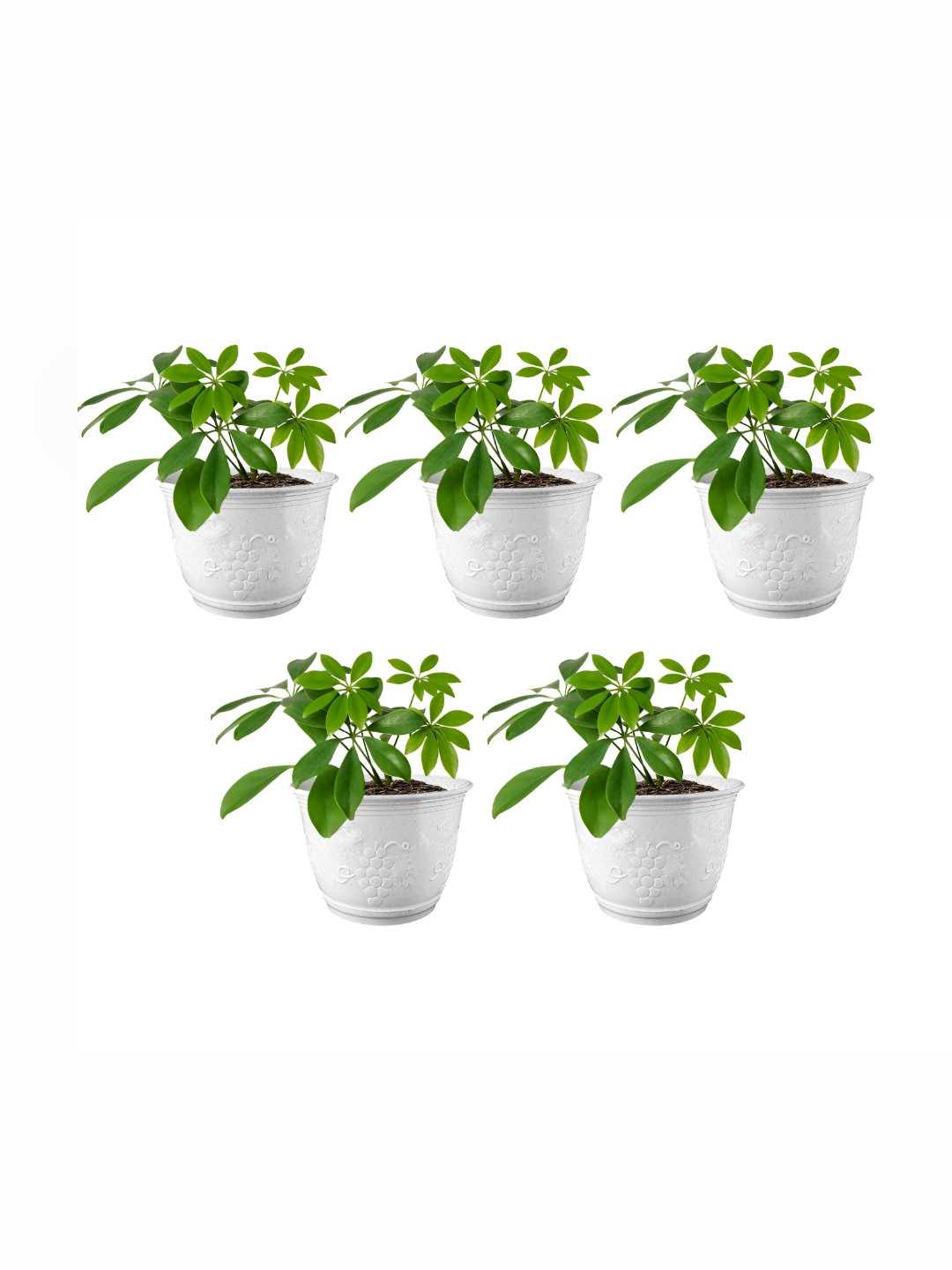 GARDEN'S NEED White 10 Pieces Planters With Tray