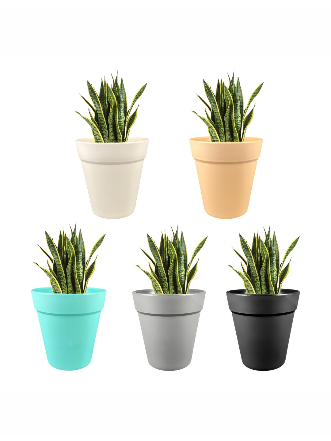 GARDEN'S NEED Excal White & Beige 5 Pieces Textured Planters