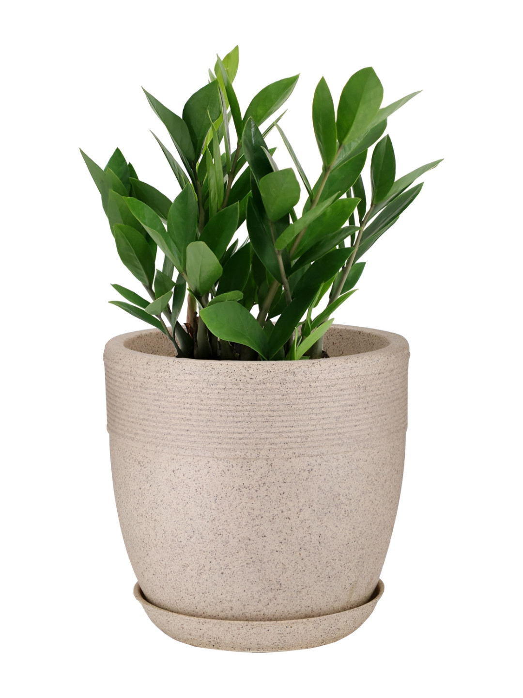 GARDEN'S NEED Beige Marble Finish Planters