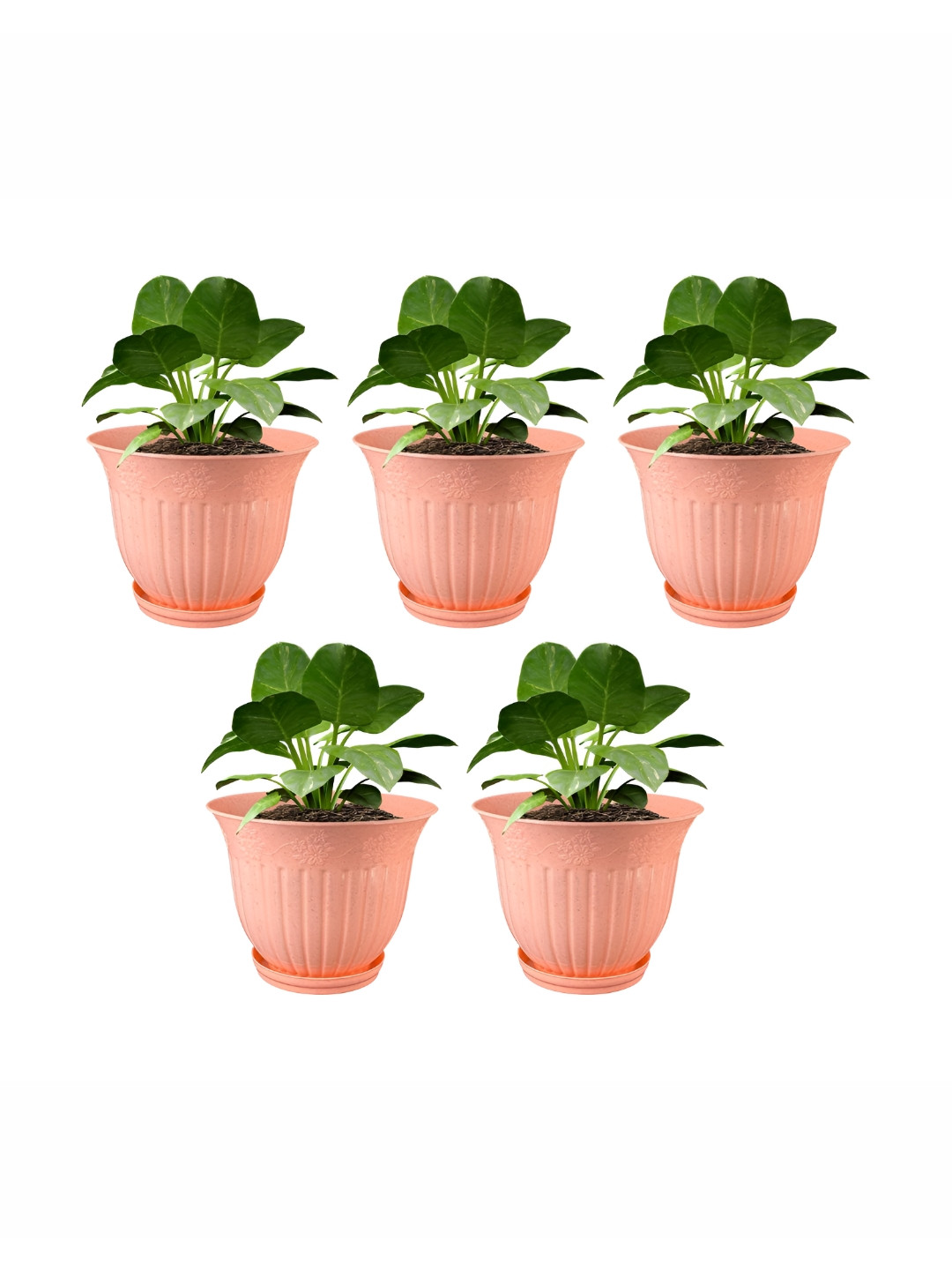 GARDEN'S NEED Set Of 5 Peach-Colored Textured Planters With Tray