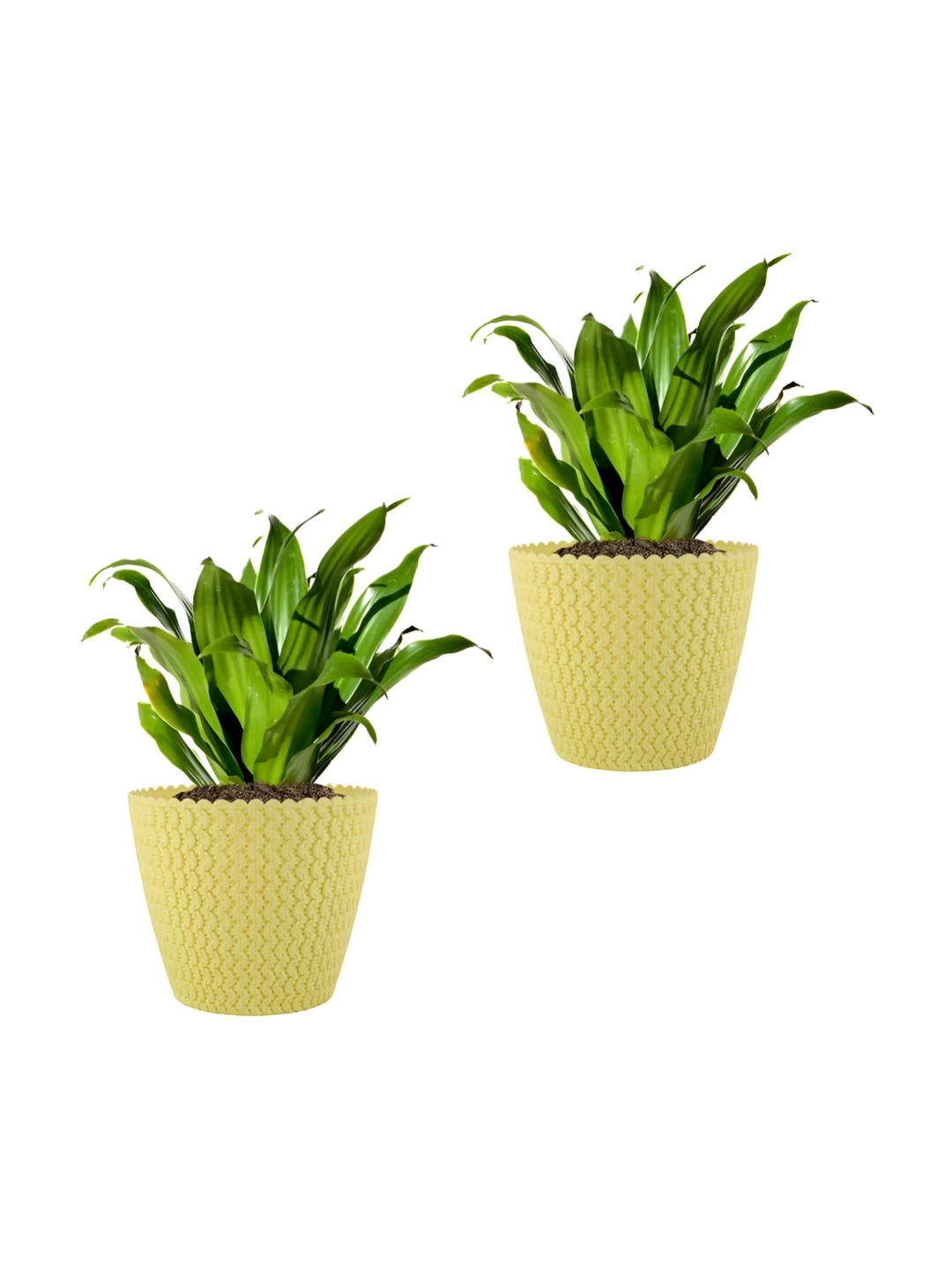 GARDEN'S NEED 2-Pcs Yellow Textured Eco-Friendly Poppy Planters