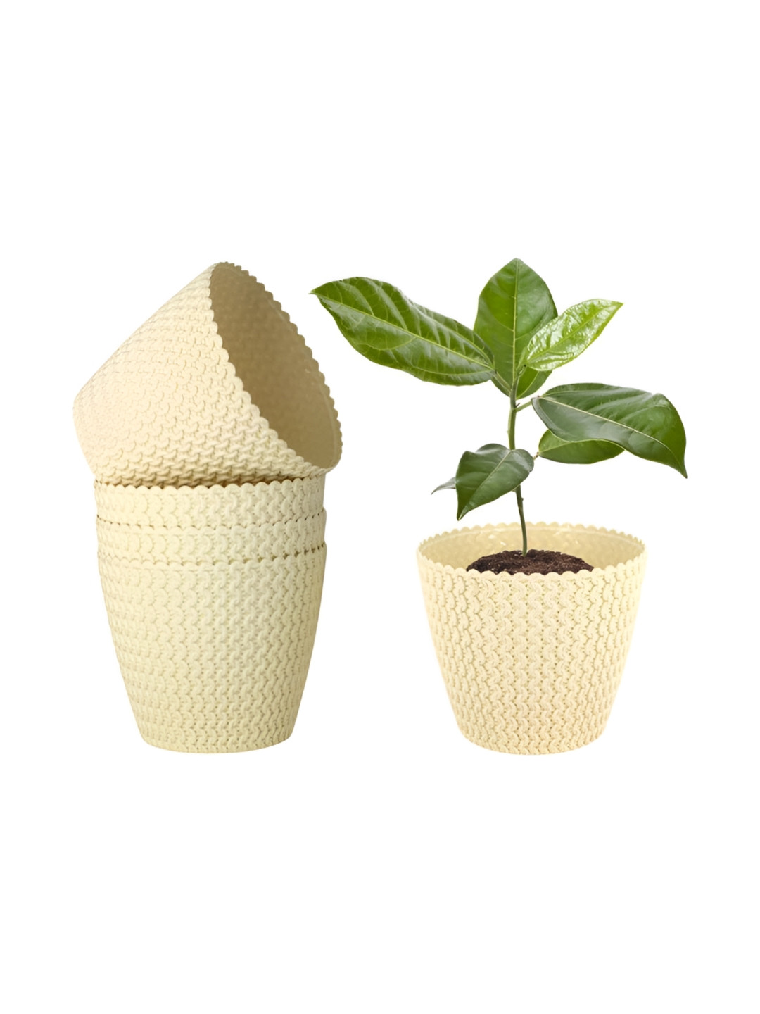 GARDEN'S NEED Poppy 5Pcs Cream-Colored Textured Planters