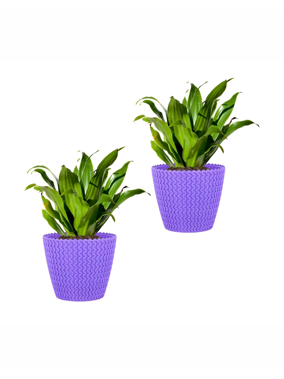 GARDEN'S NEED Purple 2 Pieces Textured Planters