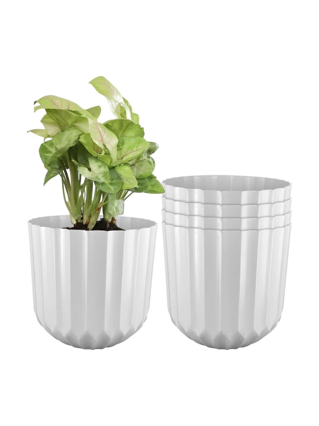 GARDEN'S NEED Sofia 5Pcs White Textured Planters