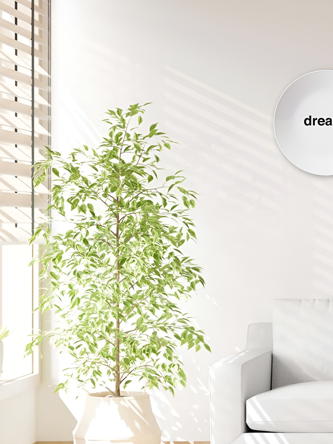 THE QUIRKY HOME Dream Premium Crafted Ceramics Glossy Hanging Hall Wall Plates-10In