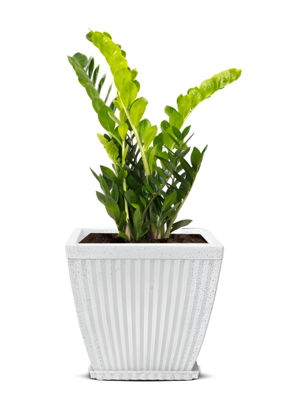 GARDEN'S NEED White Marble Design Eco-Friendly Paris Square Planter