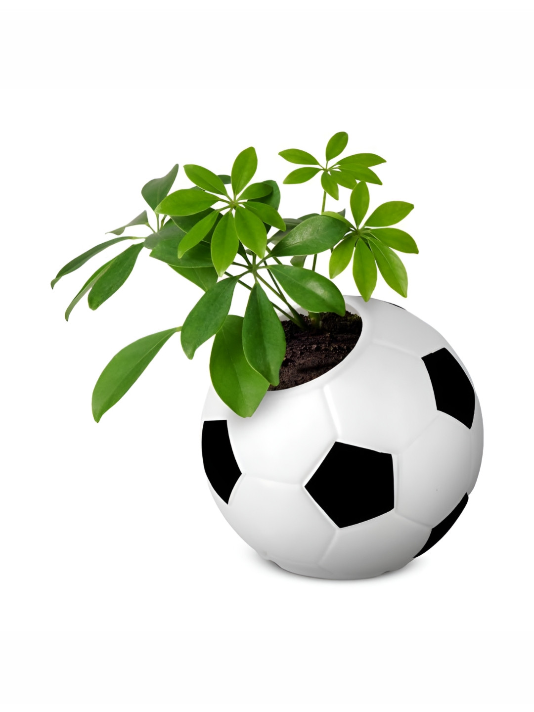 GARDEN'S NEED Black & White Football Textured Planter