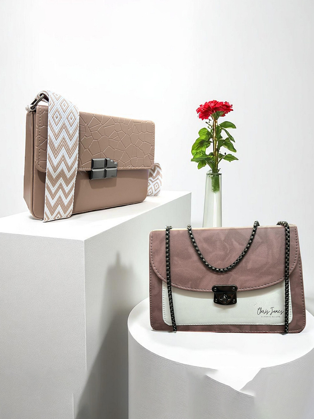 CLARIS JAMES Set Of 2 Self Design Structured Sling Bags