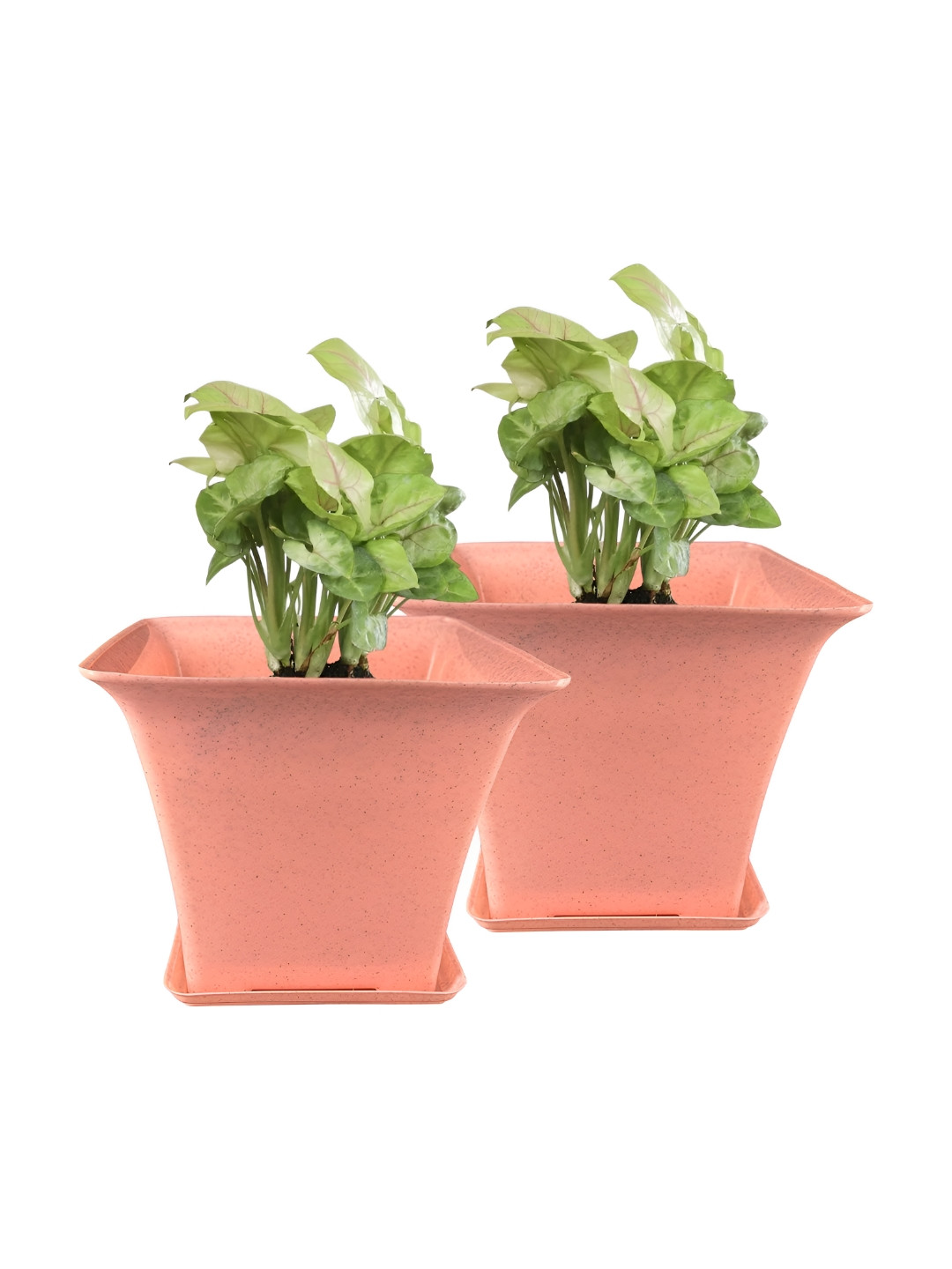 GARDEN'S NEED Orient 2Pcs Peach-Colored Planters With Tray