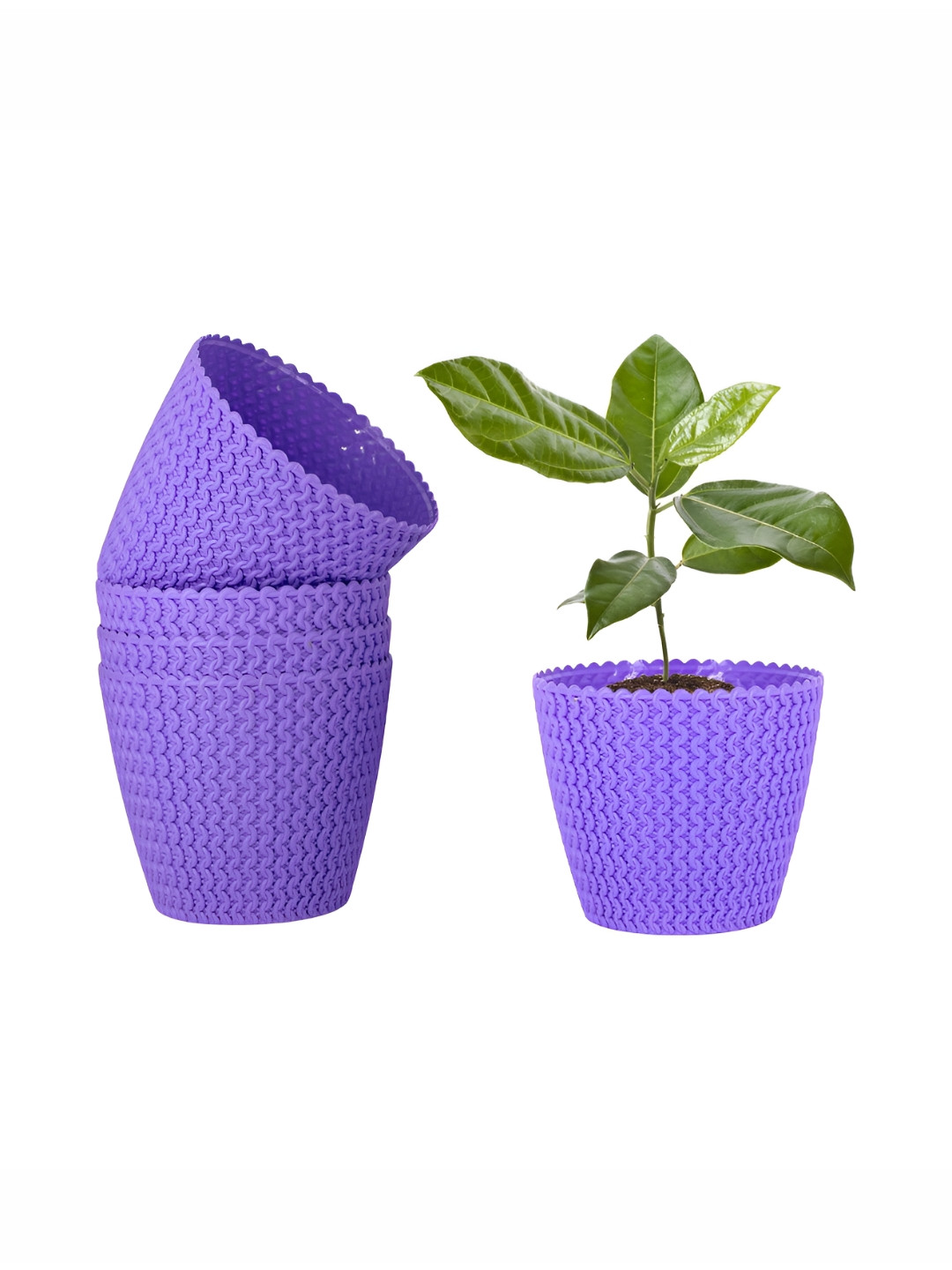 GARDEN'S NEED 5-Pcs Purple Textured Poppy Eco-Friendly Planters