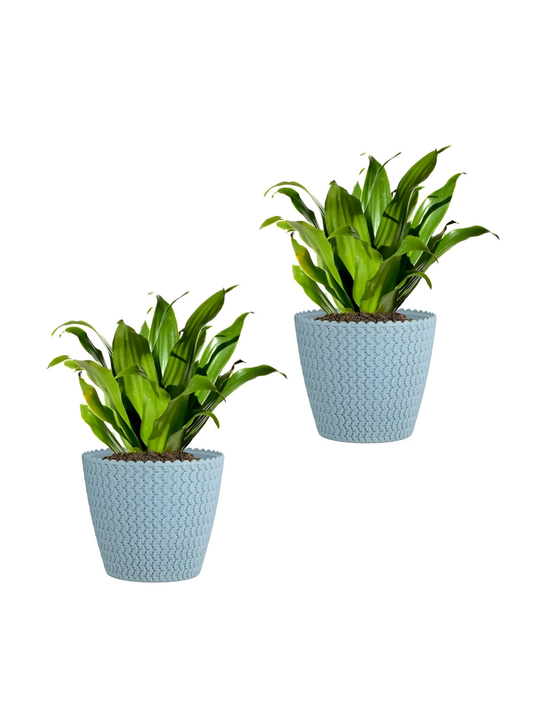 GARDEN'S NEED Poppy Set Of 2 Blue Textured Planters