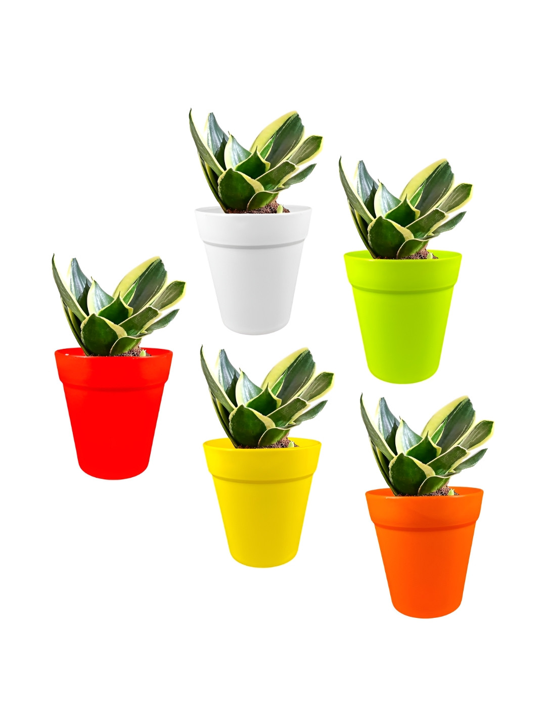 GARDEN'S NEED Excal White & Green 5 Pieces Durable & Weather Resistance Planters