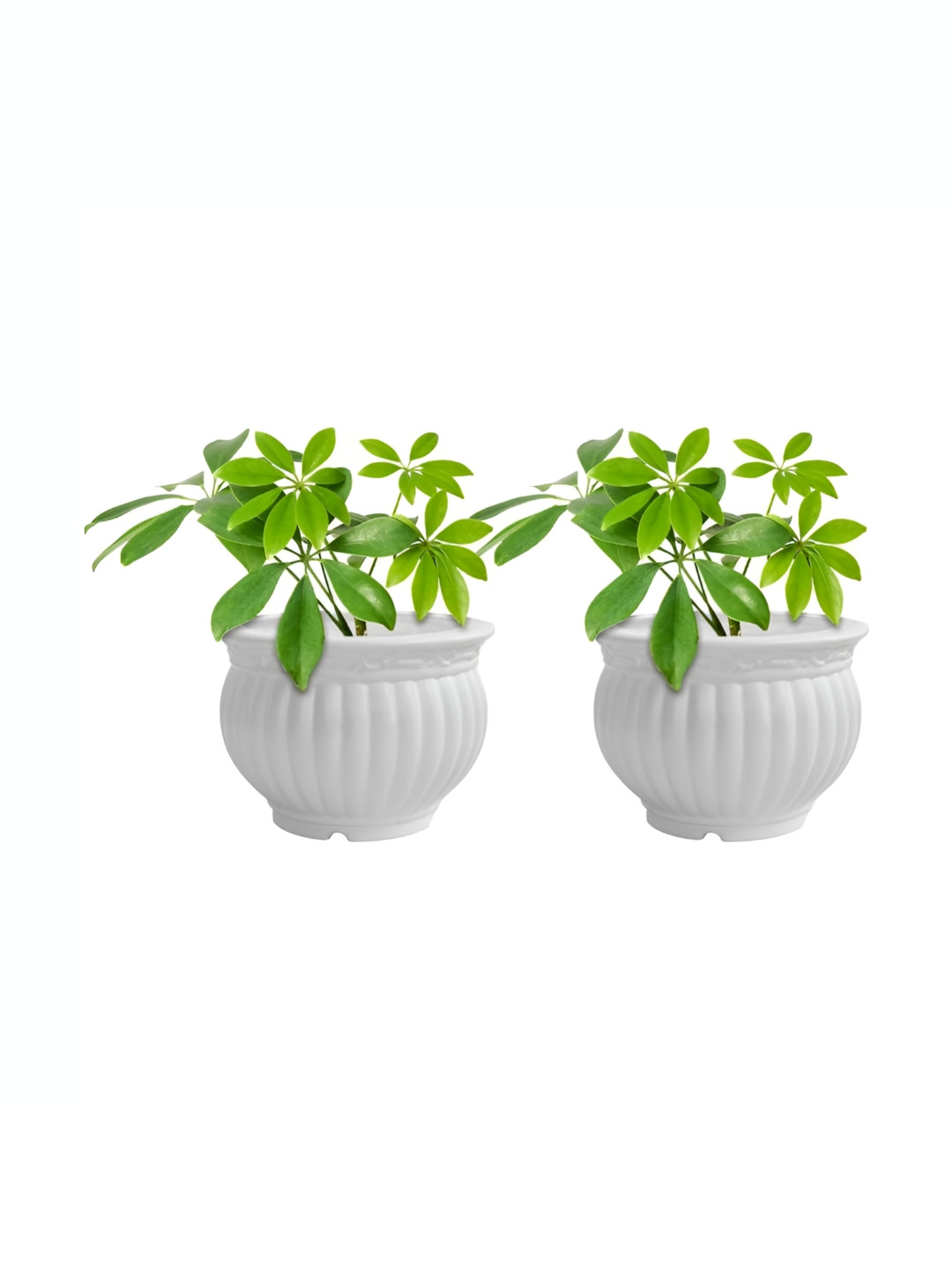 GARDEN'S NEED Kanha Matki 2Pcs White Textured Planters