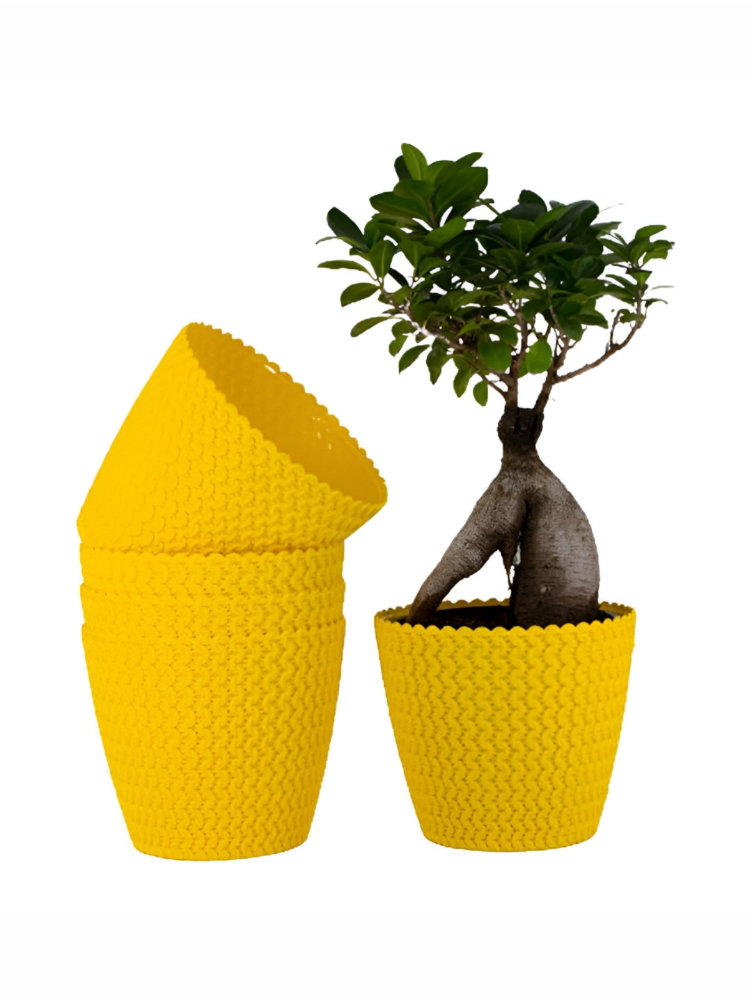 GARDEN'S NEED 5-Pcs Yellow Textured Eco-Friendly Poppy Planters