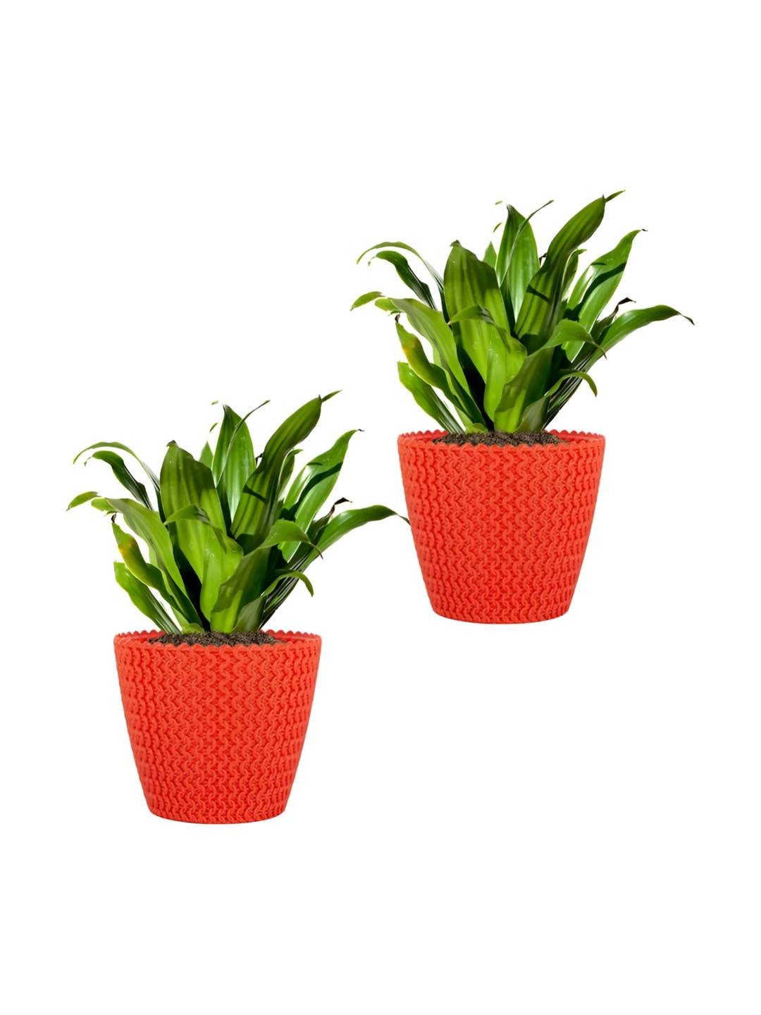 GARDEN'S NEED 2-Pcs Orange Coloured Textured Eco-Friendly Poppy Planters