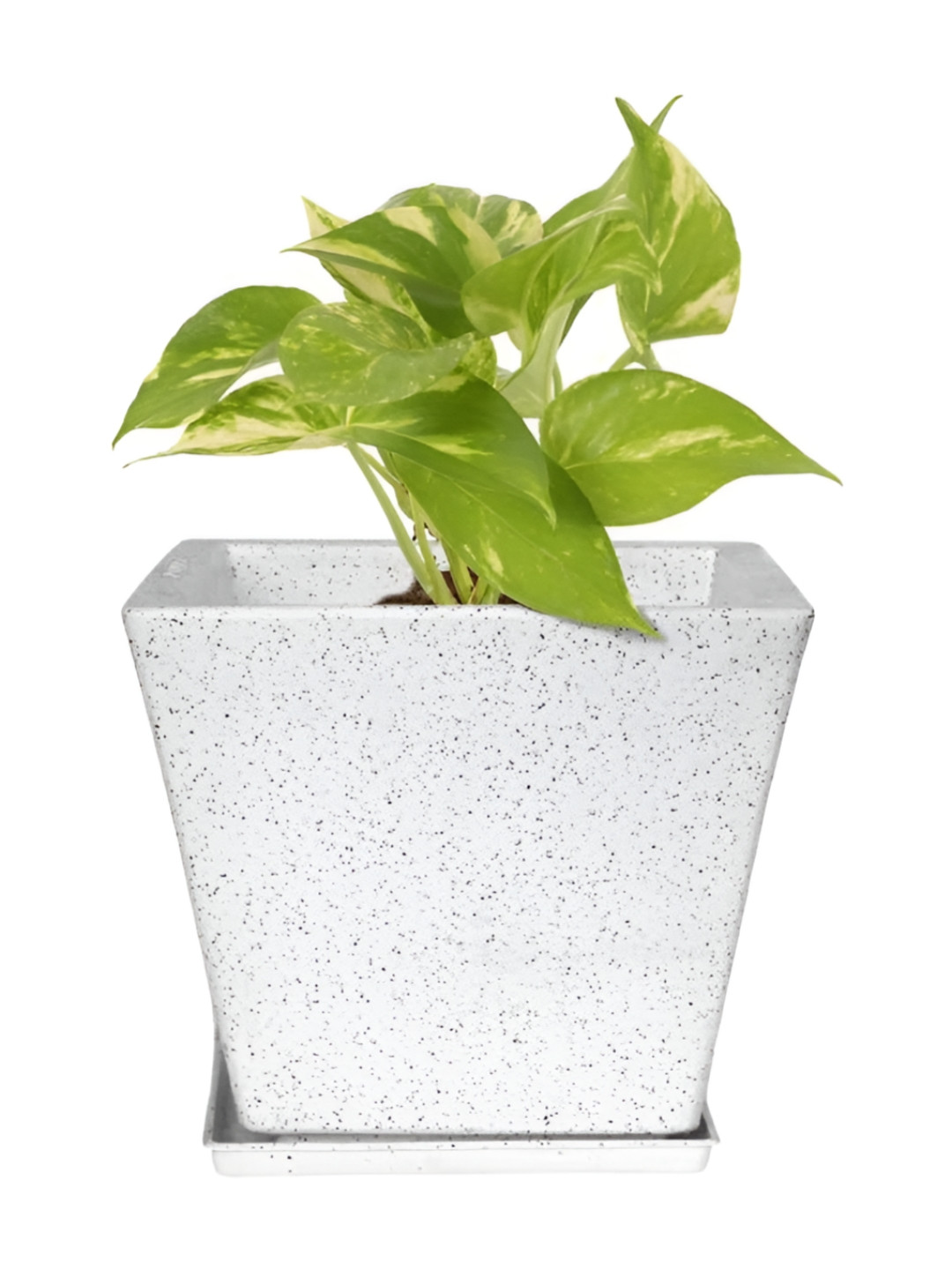 GARDEN'S NEED White Textured Weather Resistance Planter