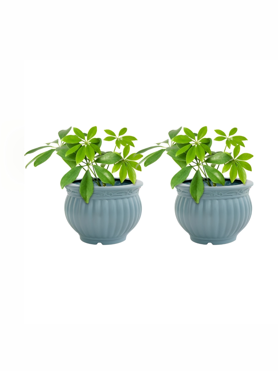 GARDEN'S NEED Kanha Matki Set Of 2 Blue Textured Planters