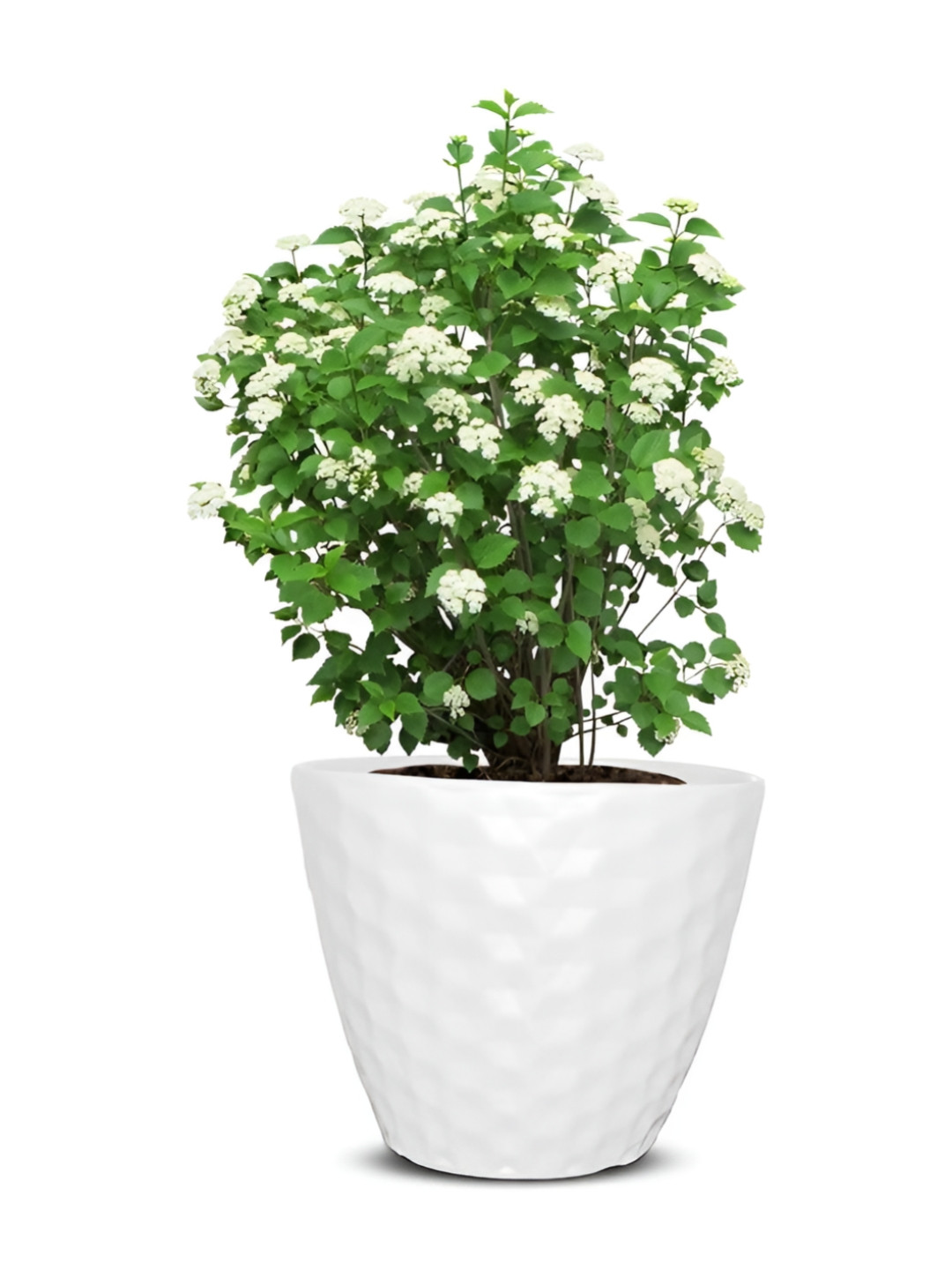 GARDEN'S NEED White Textured Weather Resistance Planter