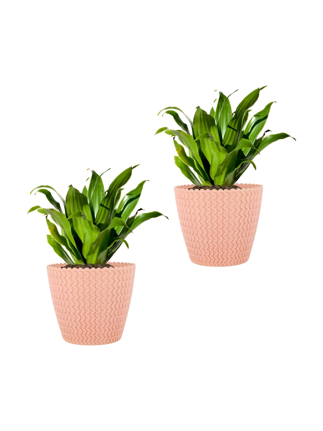 GARDEN'S NEED Pink 2 Pieces Textured Planters