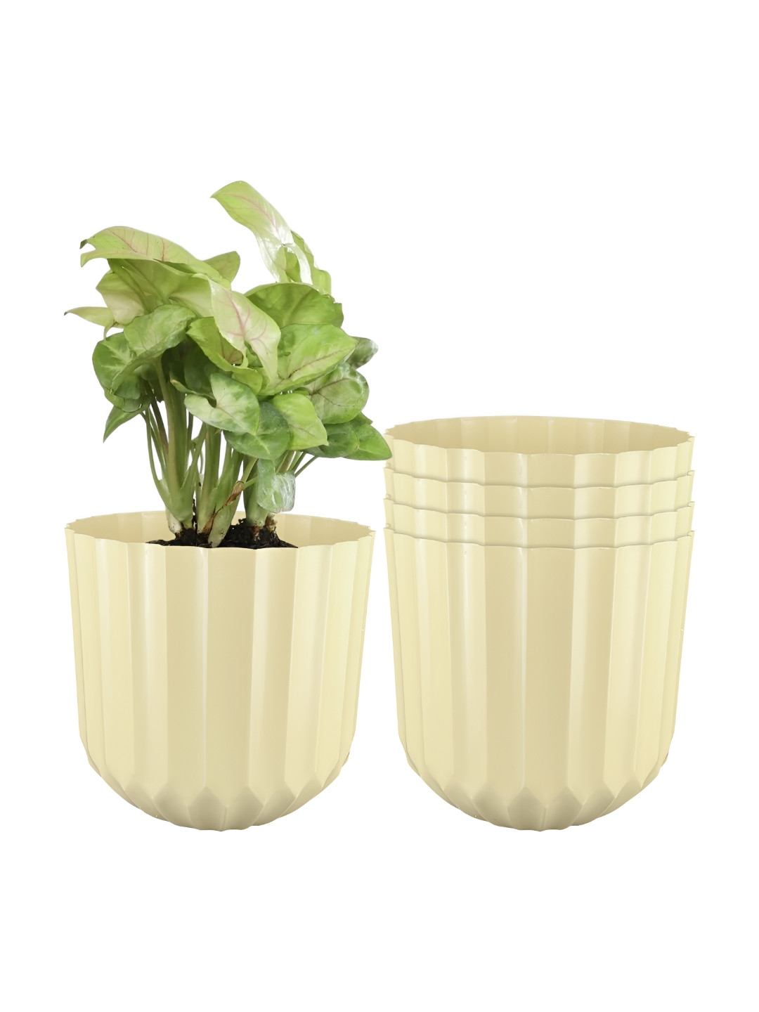 GARDEN'S NEED 5-Pcs Cream Coloured Textured Eco-Friendly Sofia Planters
