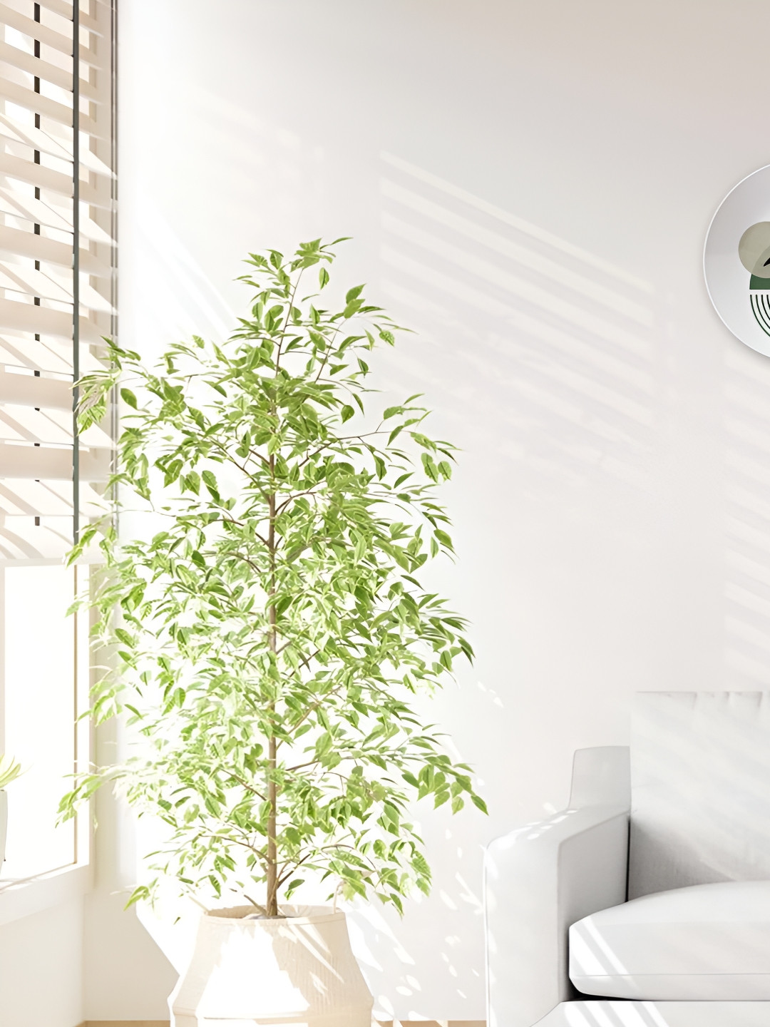 THE QUIRKY HOME Botanical Arc Premium Decorative Crafted Ceramics Glossy Wall Plates-8In