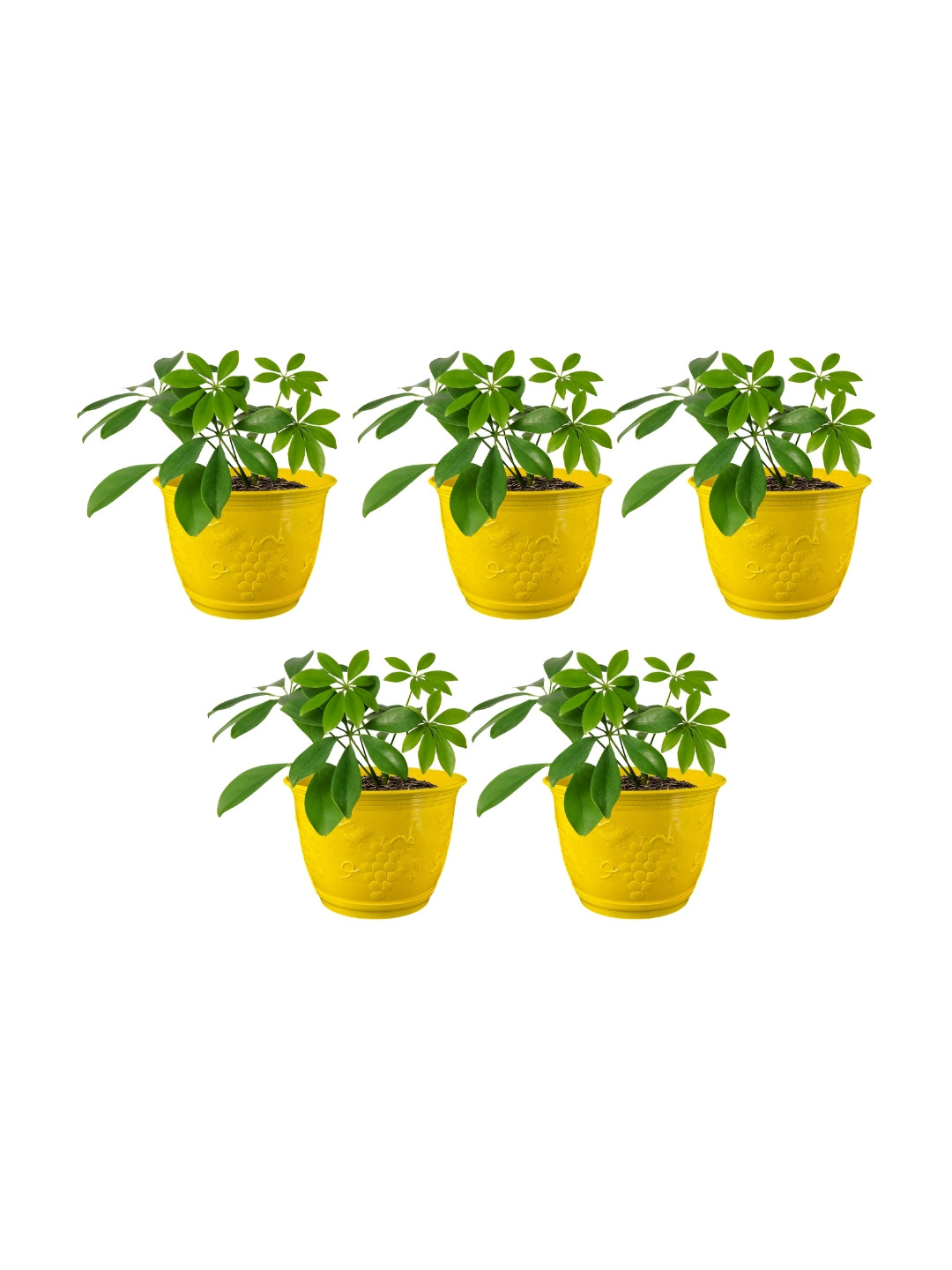 GARDEN'S NEED Leafy Yellow 10 Pieces Textured Planters With Tray