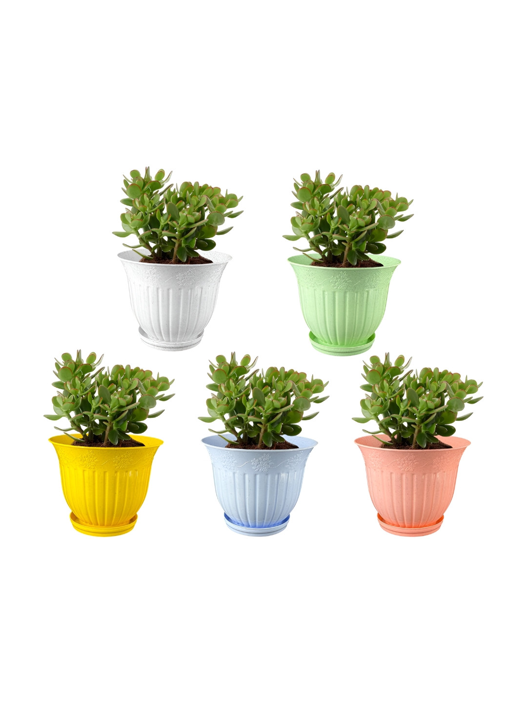 GARDEN'S NEED 5-Pcs White Yellow Textured Planters