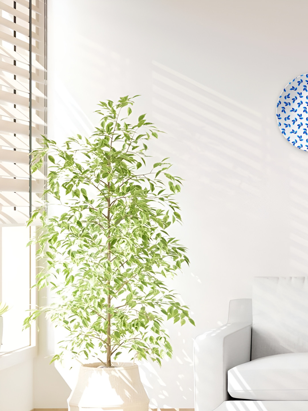 THE QUIRKY HOME Patterned Premium Crafted Ceramics Glossy Hanging Hall Wall Plates-8In