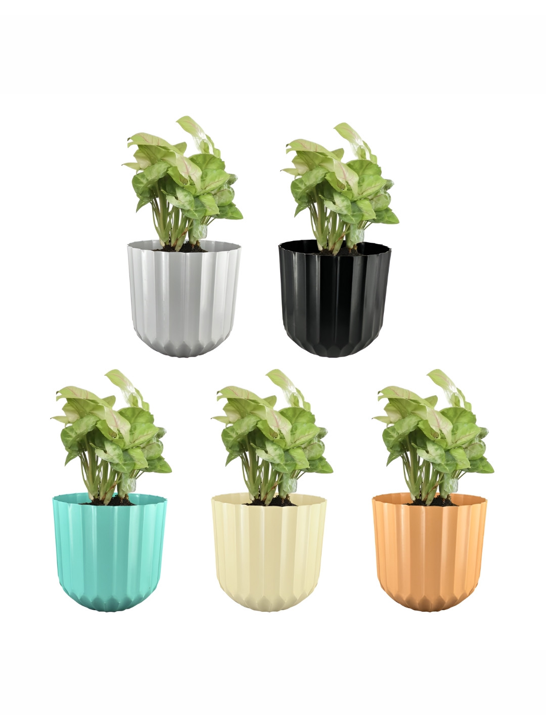 GARDEN'S NEED 5-Pcs Blue & Black Textured Eco-Friendly Sofia Planters
