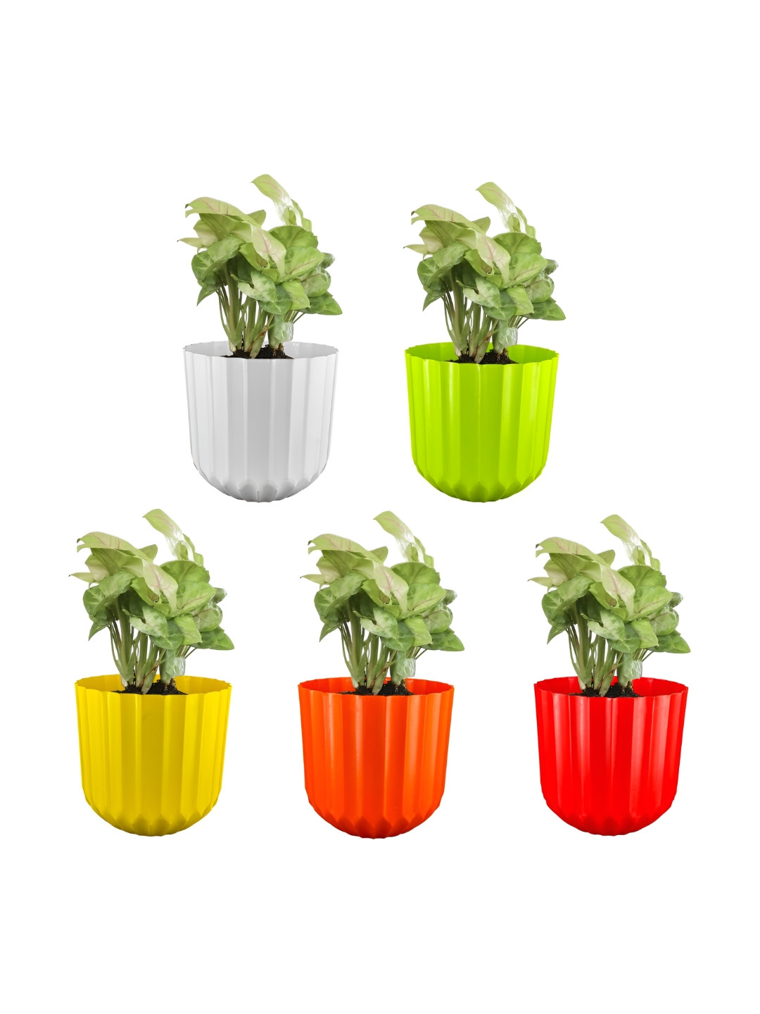 GARDEN'S NEED Yellow & Green 5 Pieces Textured Eco-Friendly Sofia  Planters