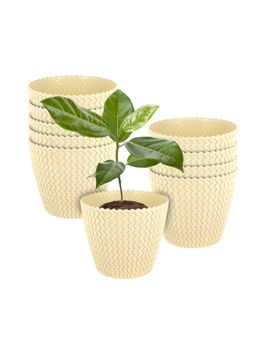 GARDEN'S NEED 10-Pcs Cream Coloured Textured Eco-Friendly Poppy Planters