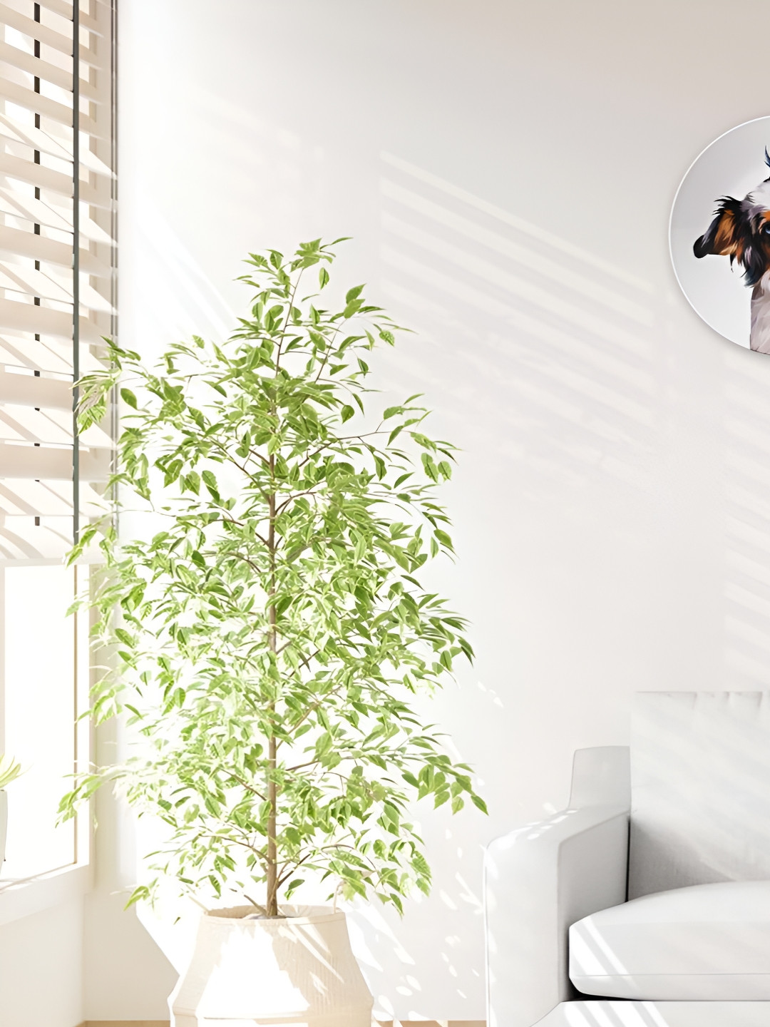 THE QUIRKY HOME Attentive Border Collie Crafted Ceramics Glossy Hall Wall Plates-10In