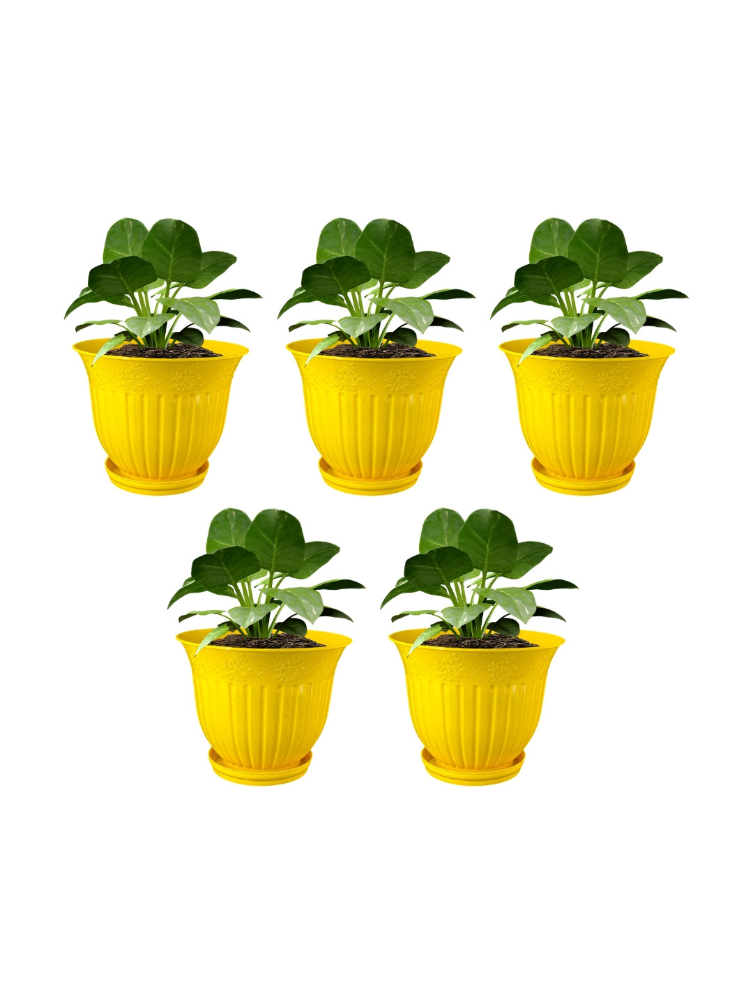 GARDEN'S NEED Love Yellow 5 Pieces Textured Planters With Tray