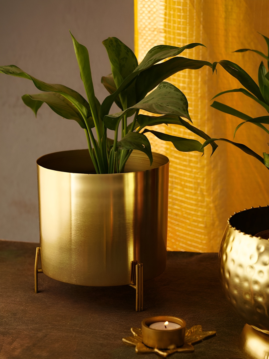 JAYPORE Antique Brass Round Planter with Stand