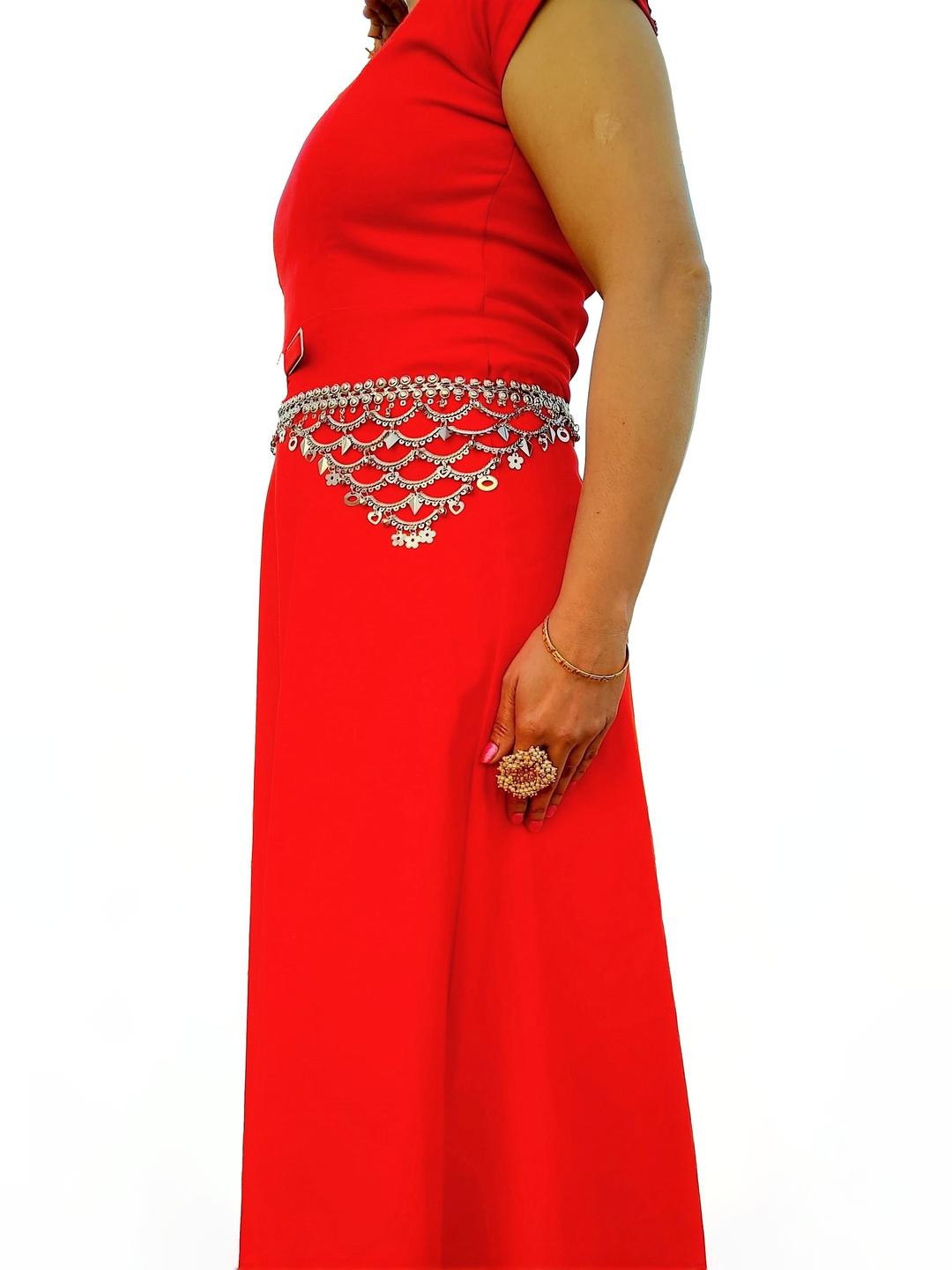 WomenSky Women Silver Saree Accessories