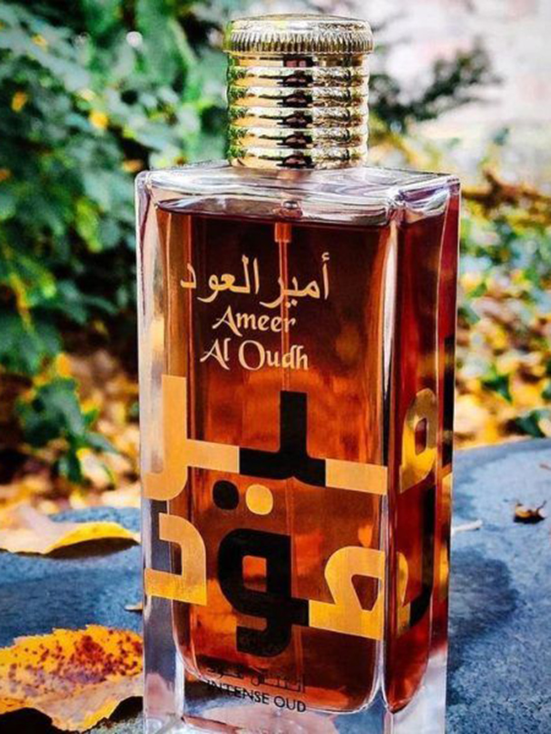 Lattafa Ameer Al Oudh Intense Oud Eau De Parfum- 100 ml