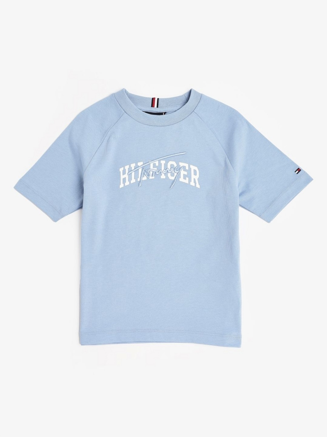 Tommy Hilfiger Boys Brand Logo Printed Round Neck Knits Cotton Relaxed Fit T-shirt