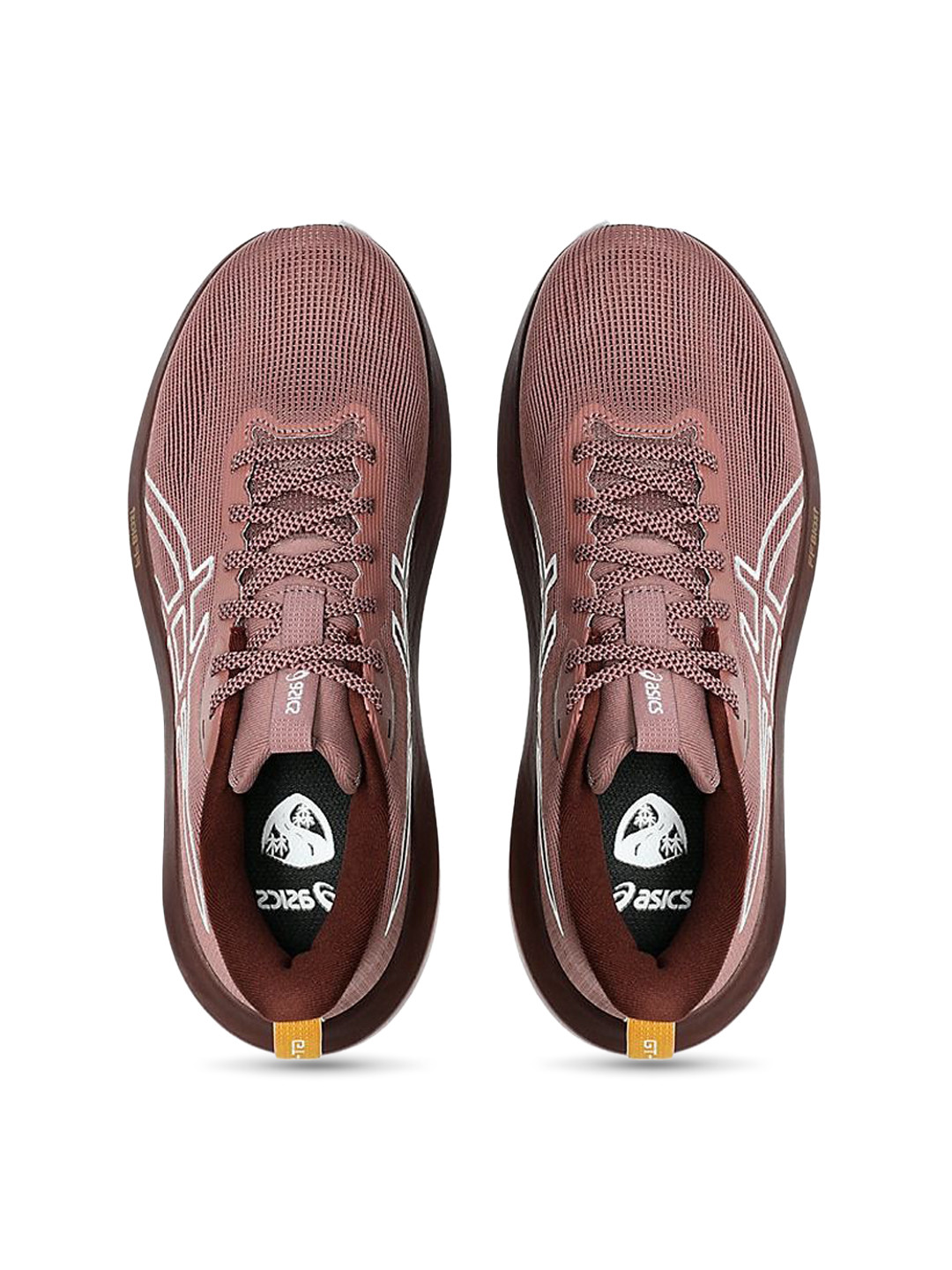 ASICS GT-1000 14 TR Women Round-Toe Running Shoes