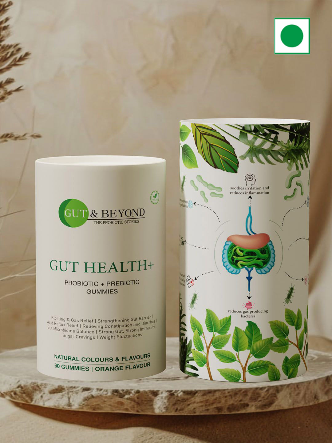 GUT & BEYOND Gut Health+ Gummies - 60 Gummies - Orange Flavor