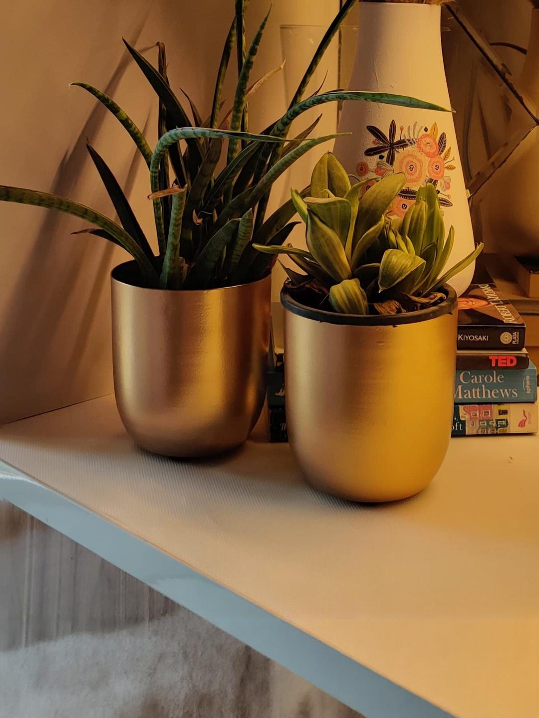 Inshreys Flower Pot Vase - Set of 2