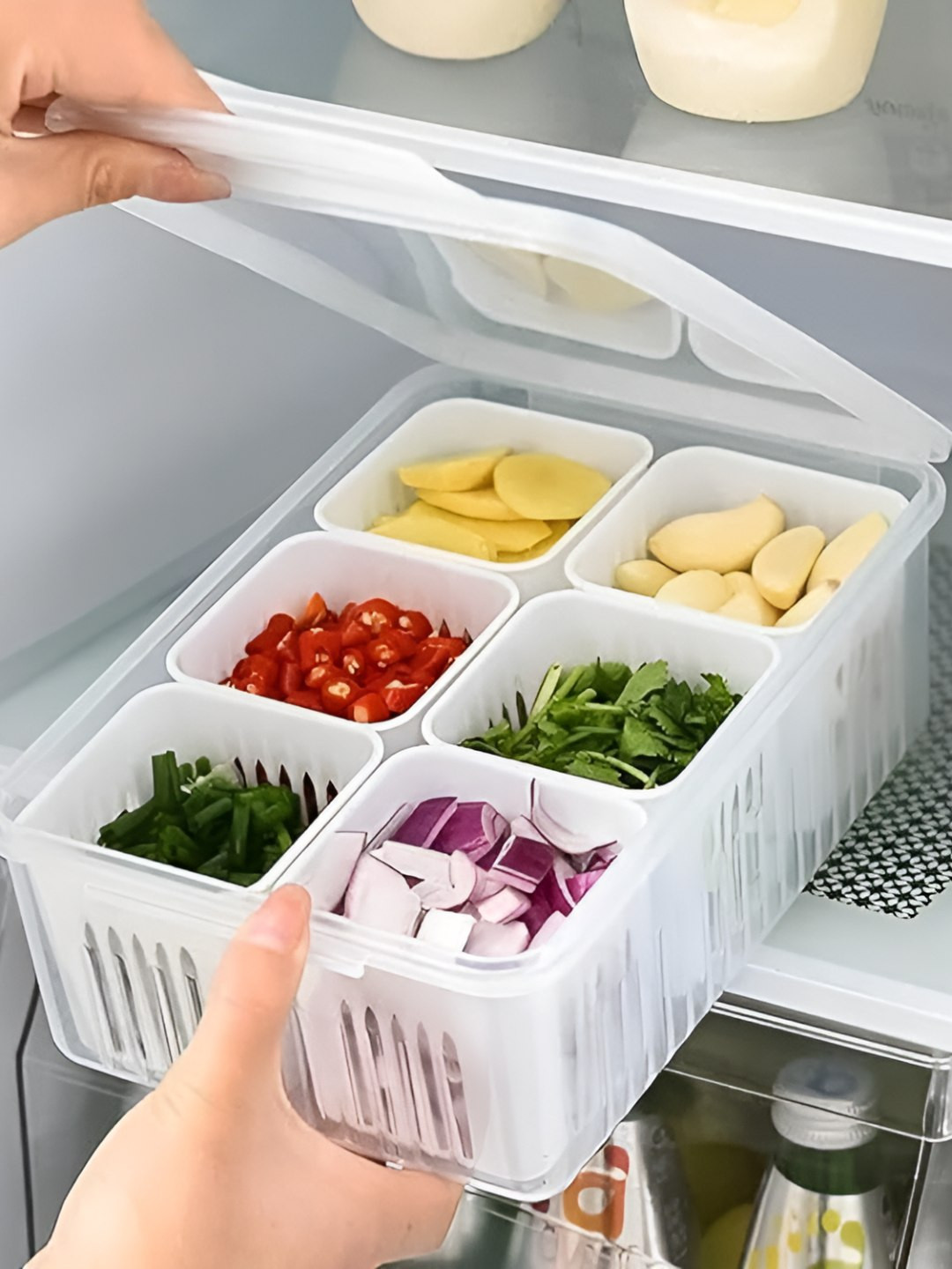 RK EMPIRE Transparent Plastic Refrigerator Safe Fridge Container