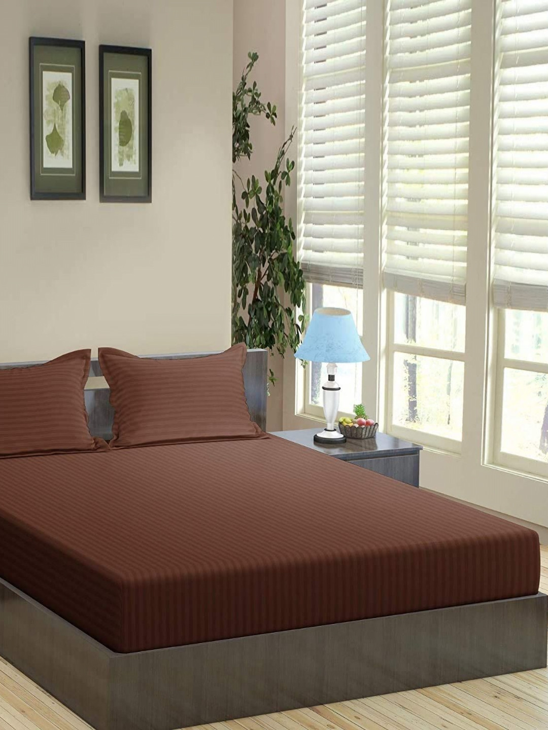 Trance Home Linen Coffee Brown Pure Cotton 200 TC Queen Bedsheet Set-2.64 m x 2.18 m