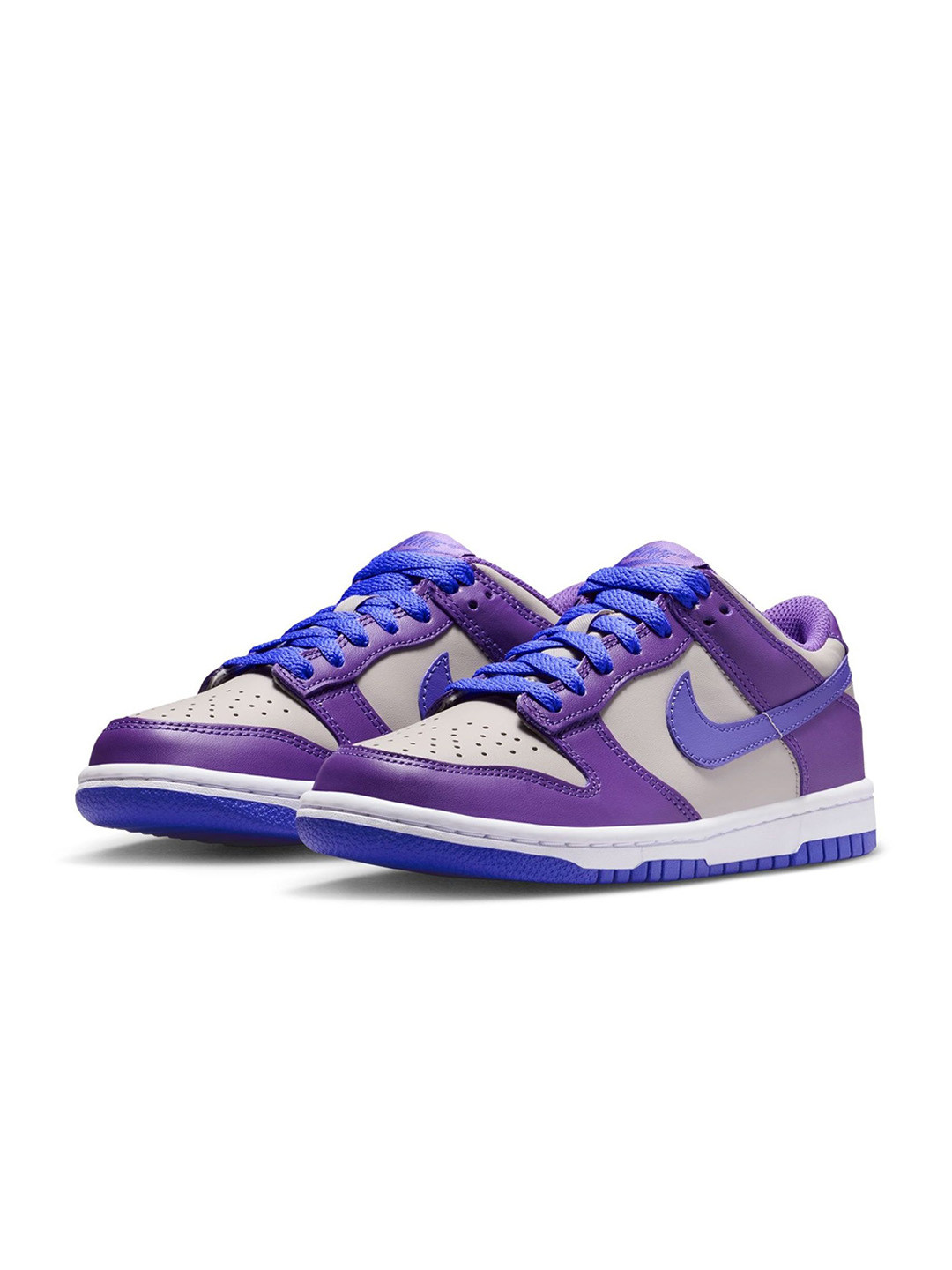 Nike Boys Colourblocked PU Dunk Low Older Regular Sneakers Shoe