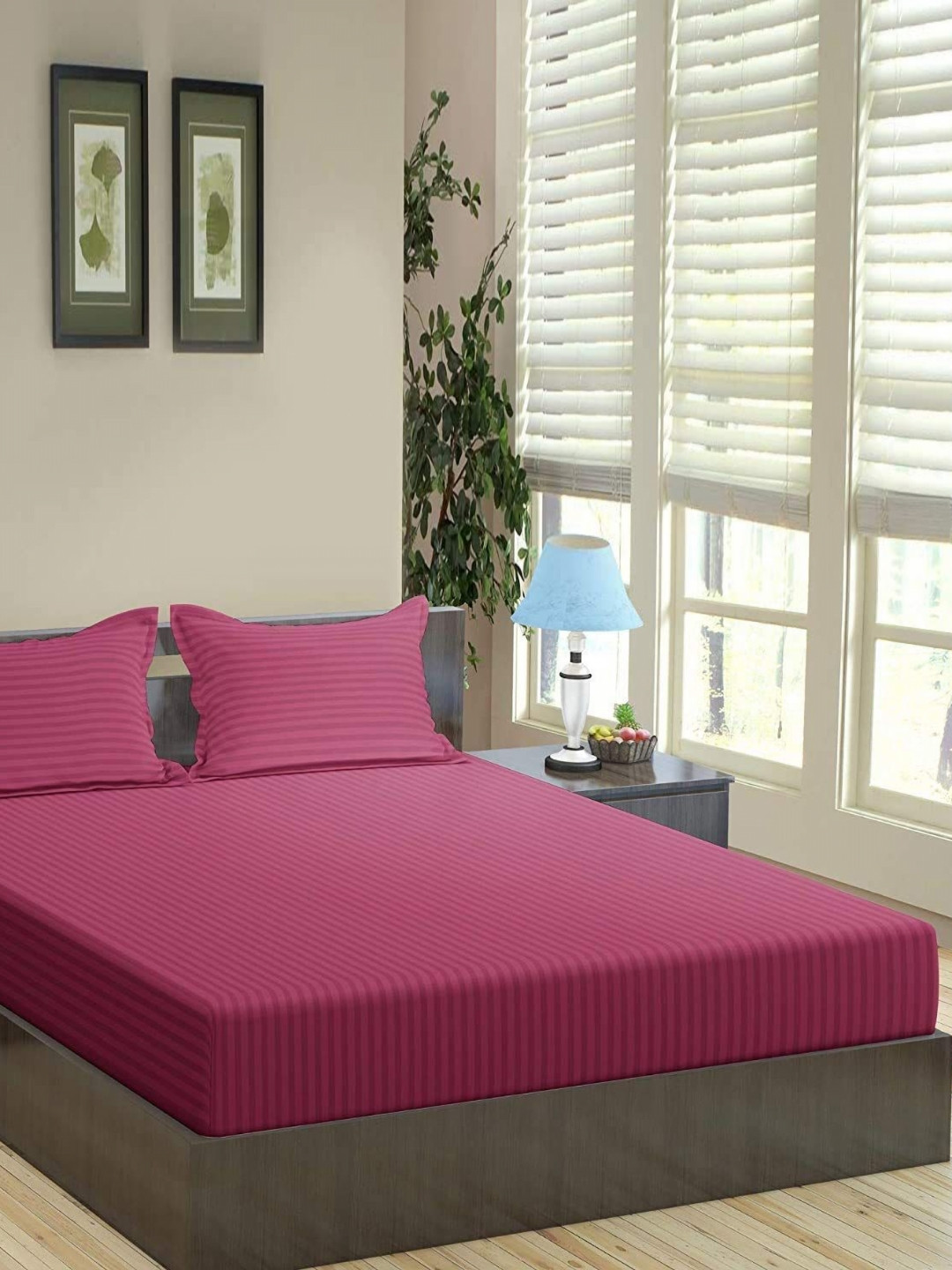 Trance Home Linen Rose Pink Striped Pure Cotton 200 TC Queen Bedsheet Set-2.64 m x 2.18 m