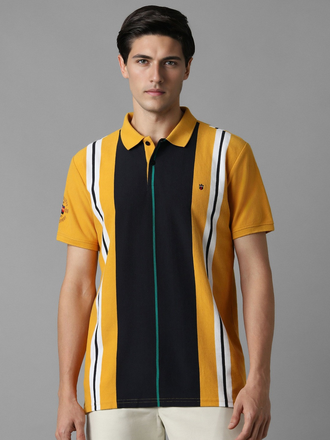 Louis Philippe Sport Striped Polo Collar Pure Cotton Tshirt