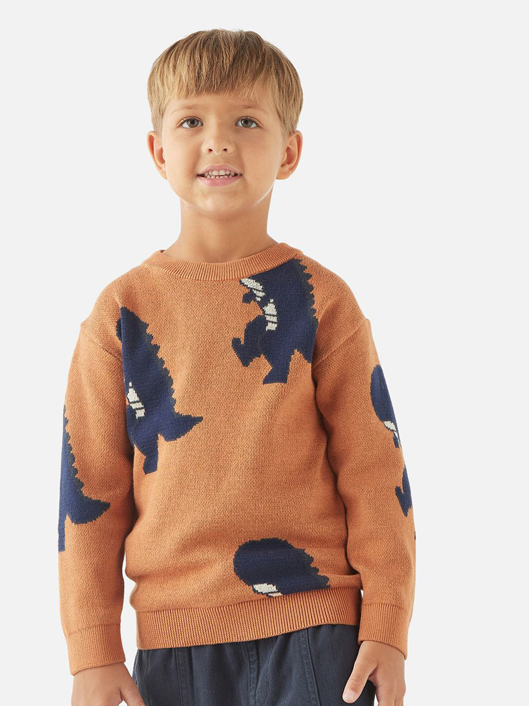 Juniors by Babyshop Boys Dinosaur Printed Pullover Cotton Sweater