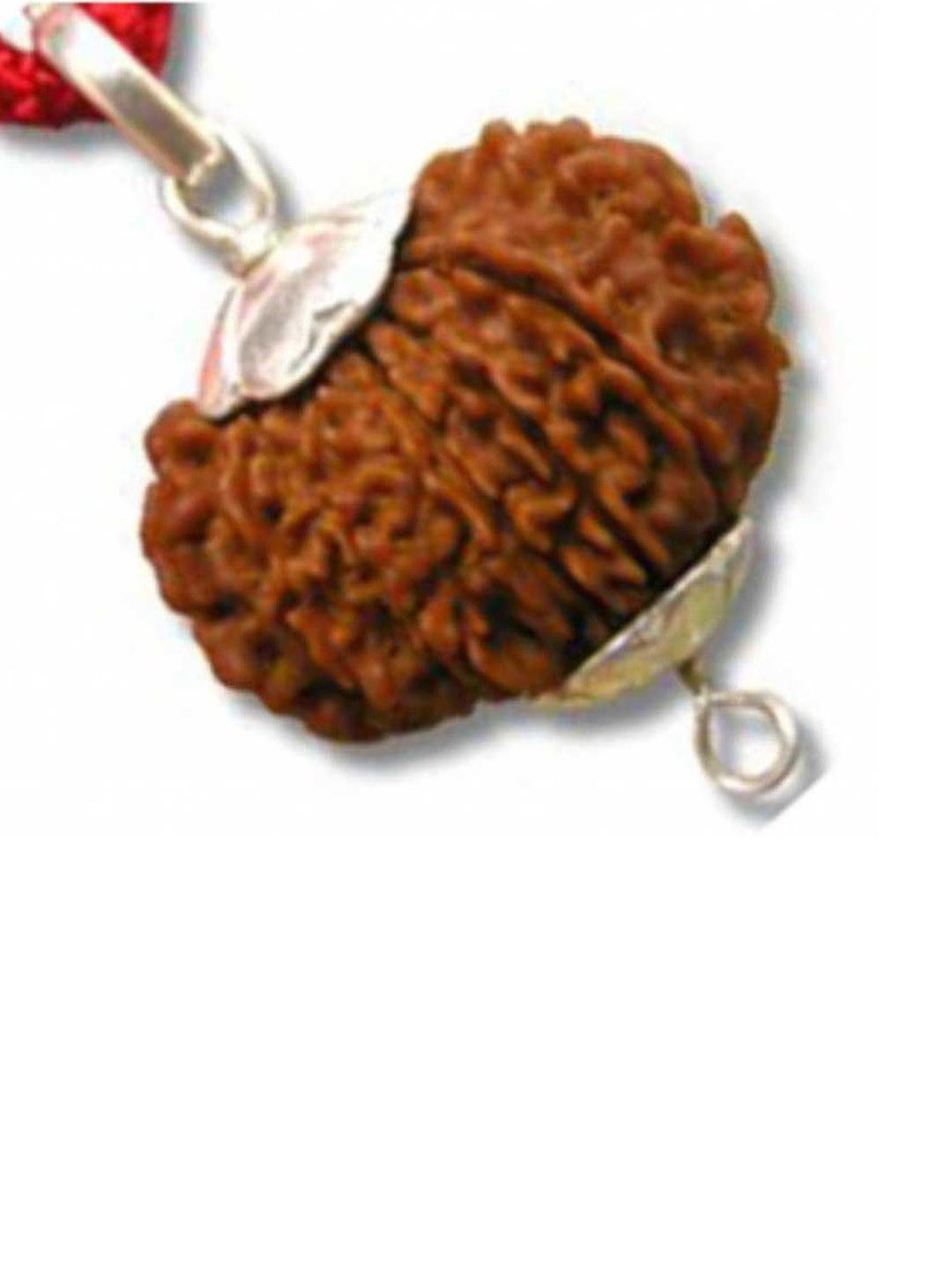 AURRA STORES Wood Rudraksha Pendant