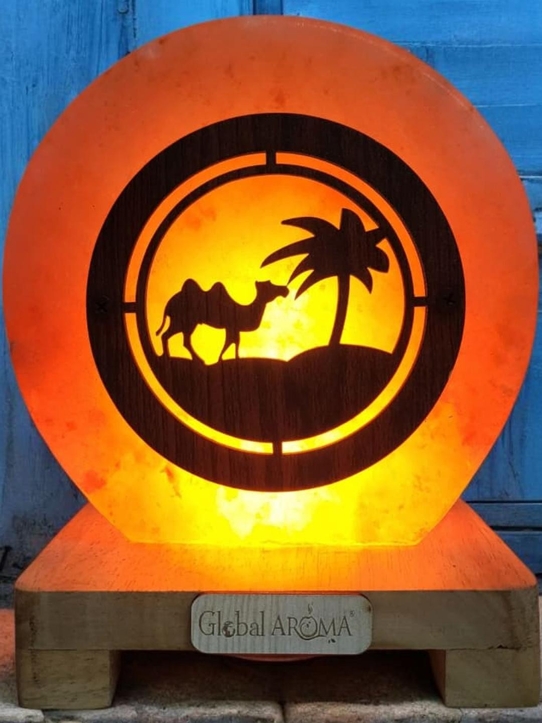 Desert Camel Himalayan rock salt crafted Lamp