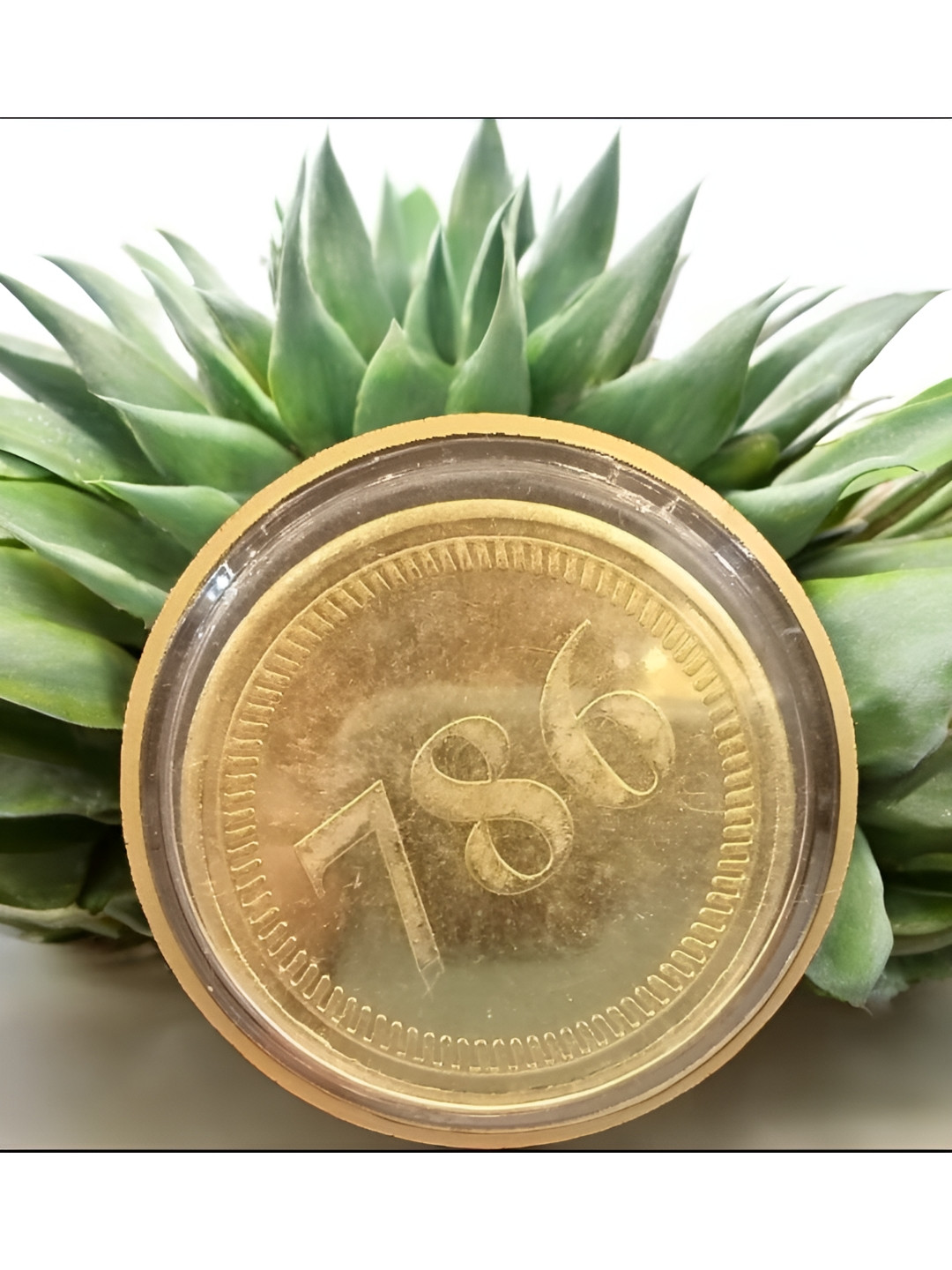 SANKALAN CREATIONS Gold-Toned Coin Curio Showpiece